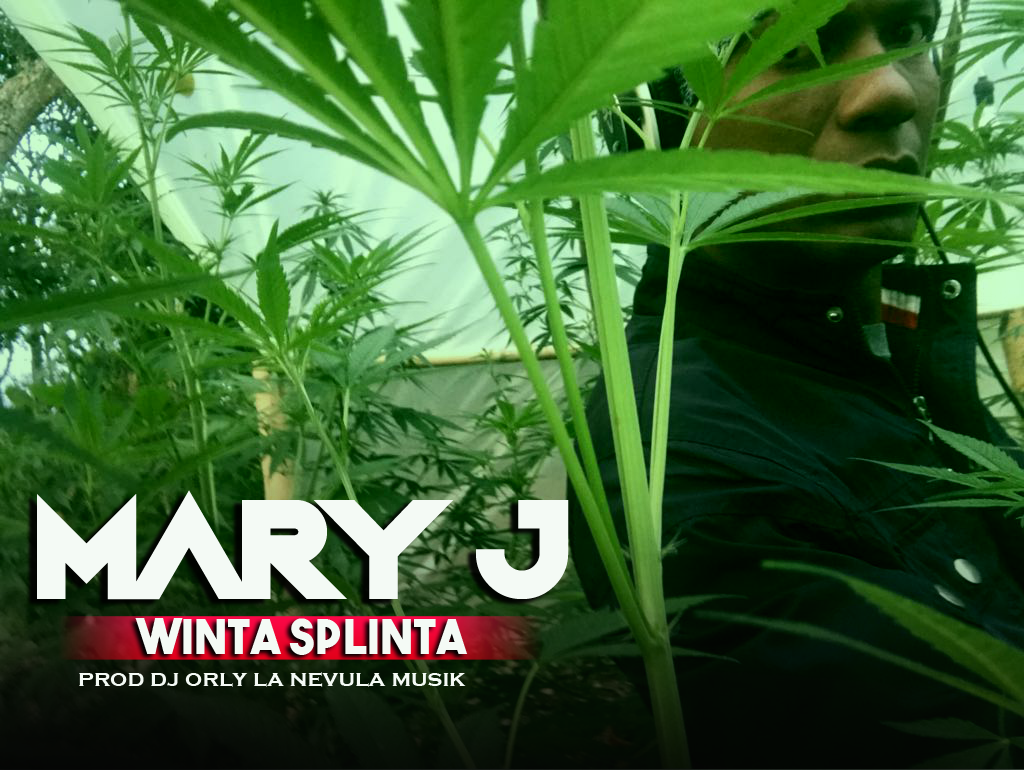 Winta Splinta - Mary J